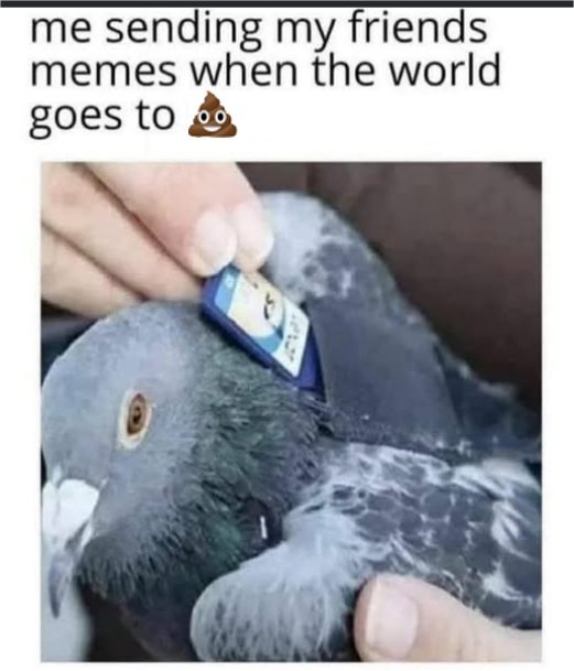 memes 2 majorgeeks.jpg